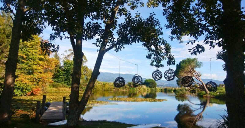 これはニュージーランドのネルソンにある池の画像です。
